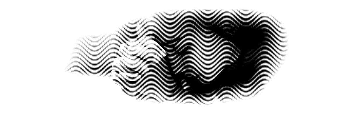 Weekly Title Picture